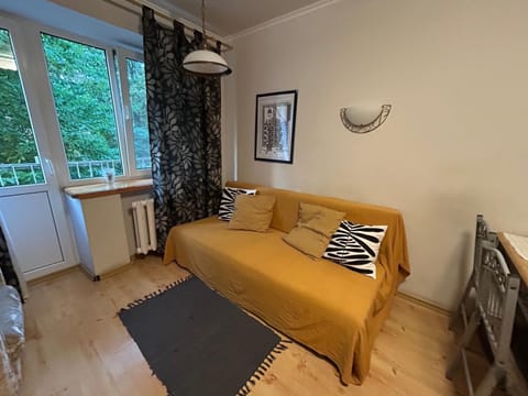Bed, Living room, Photo of the whole room