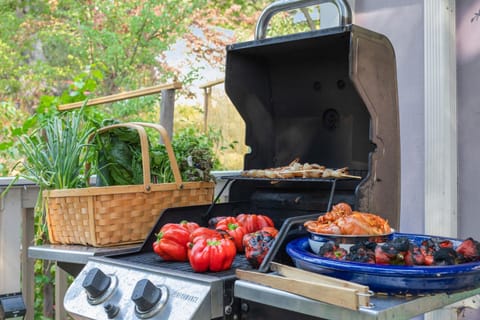 BBQ facilities, Food