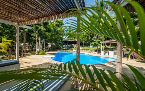 Day, Pool view, Swimming pool, sunbed