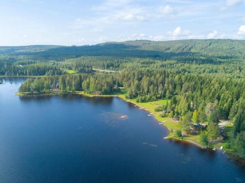 Day, Bird's eye view, Summer, On site, Lake view