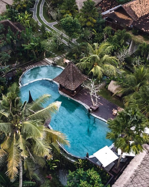Bird's eye view, Pool view