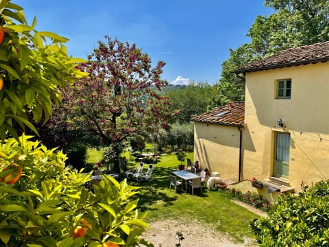 Property building, Spring, Day, Children play ground, Garden, Garden, Garden view