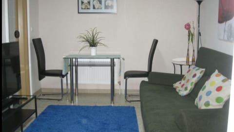 flats-4u - Cosy, quiet & clean apartments in the city ( Apt. 1 ) Apartment in Bonn