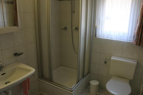 Haus Amara Apartment in Saas-Fee