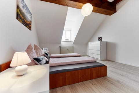 Wohnung 3 - nur 5-10 min vom Europapark Apartment in Ringsheim