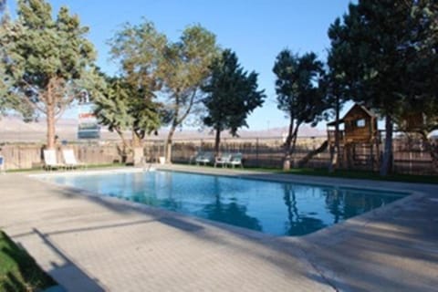 Day, Swimming pool, Swimming pool