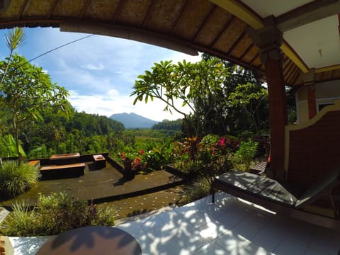 Natural landscape, Garden, Balcony/Terrace