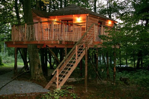 B&B La Cabane du Bois Dormant Bed and Breakfast in Wallonia, Belgium