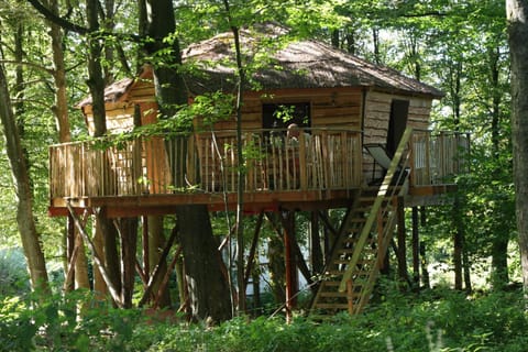 B&B La Cabane du Bois Dormant Bed and Breakfast in Wallonia, Belgium