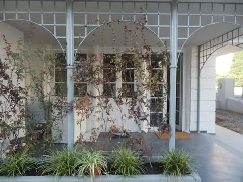 Mura Lucca House in Capannori