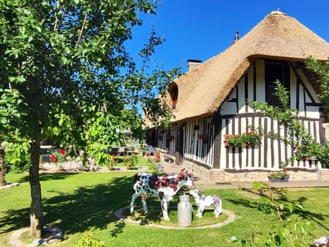 Property building, Garden, Garden view