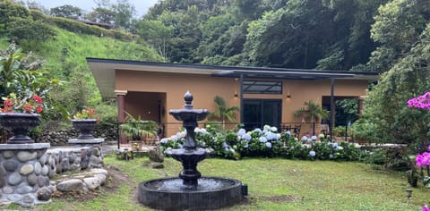 Property building, Garden, Garden view