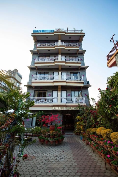 Property building