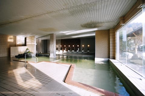 Spa and wellness centre/facilities