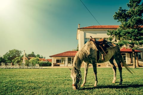 Horse-riding