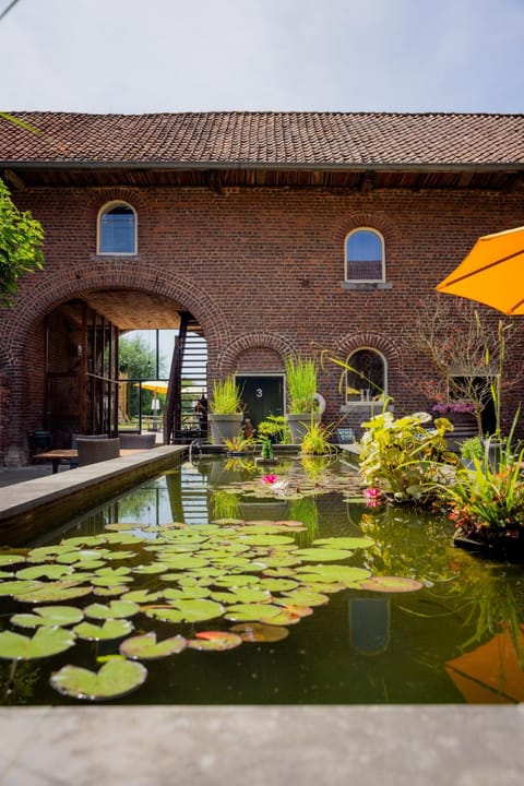 Inner courtyard view