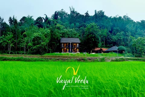 Natural landscape