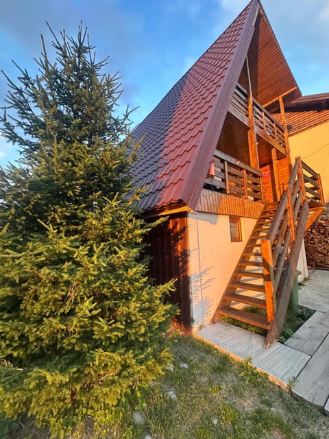 Property building, Garden view