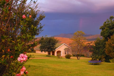 Garden, Area and facilities