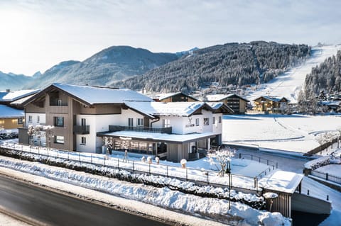 Property building, Winter, Skiing