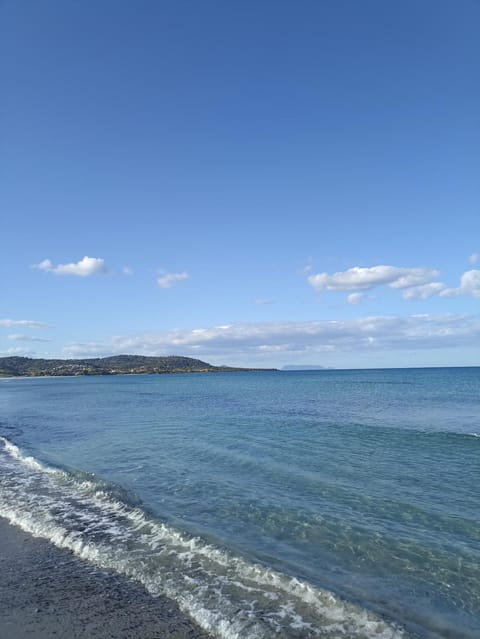 Sunflower house Apartment in Siniscola