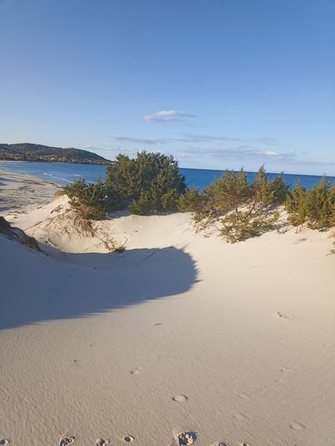 Sunflower house Apartment in Siniscola