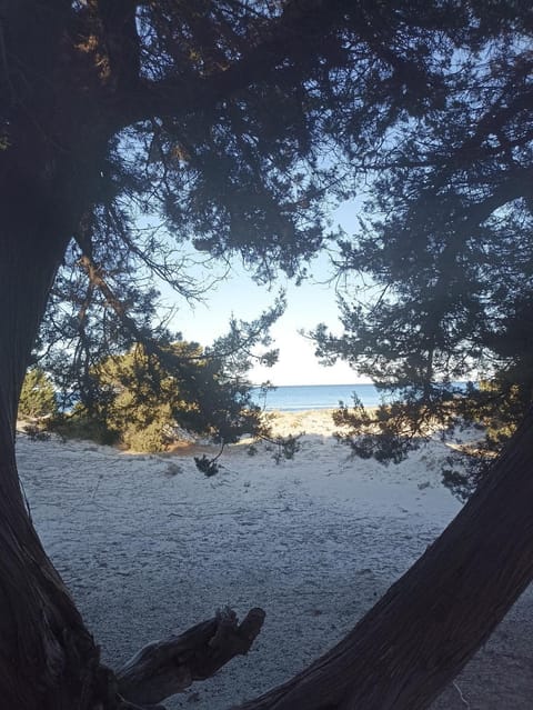 Sunflower house Apartment in Siniscola