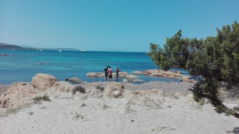 Sunflower house Apartment in Siniscola