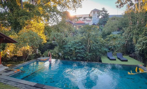 Pool view, Swimming pool