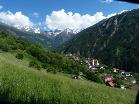 Area and facilities