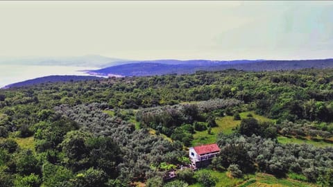 Natural landscape, Bird's eye view, Location