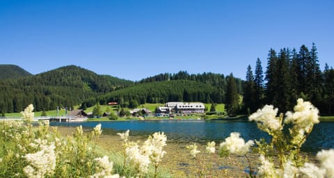 Off site, Neighbourhood, Natural landscape, Summer, Hiking