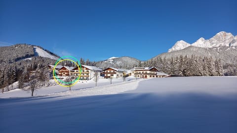 Property building, Winter