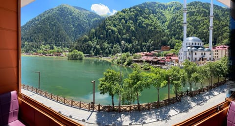 Lake view, Lake view