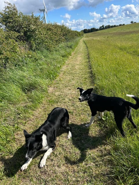 quiet secluded loft in County Durham Apartment in England