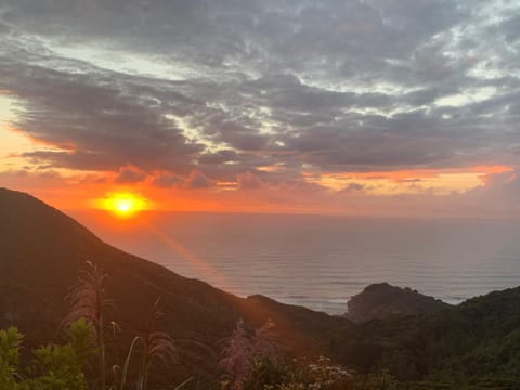 Piha Tiny House House in Auckland
