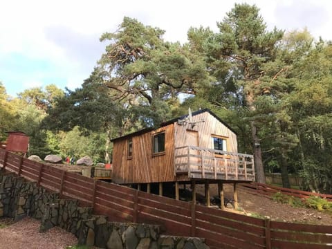 Pine Marten Bar Glenmore Treehouse Chalet in Scotland