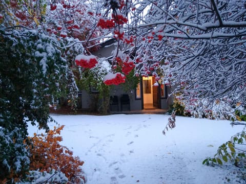 Winter