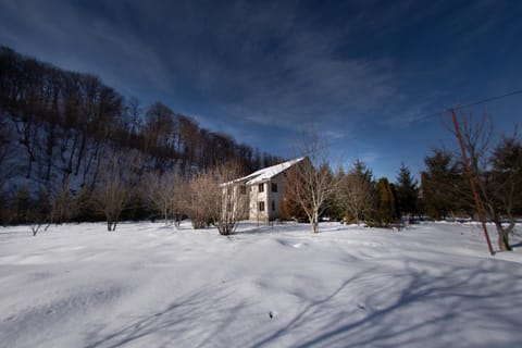 Winter, Street view