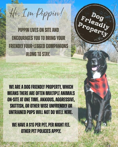 Pets, Pets, Pets, pet friendly, pet friendly