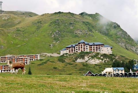 Property building, Natural landscape, Summer