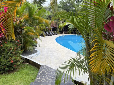 Garden, Swimming pool, sunbed