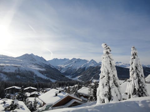 Staff, Natural landscape, Winter