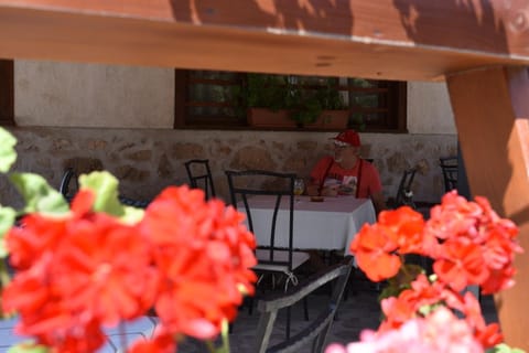 Restaurant/places to eat, Summer