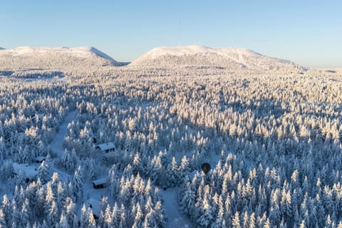 Jänkäkolo Holiday Home House in Rovaniemi