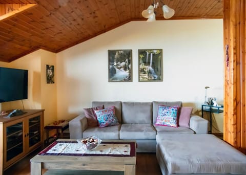 TV and multimedia, Living room, Seating area, Area and facilities, Area and facilities