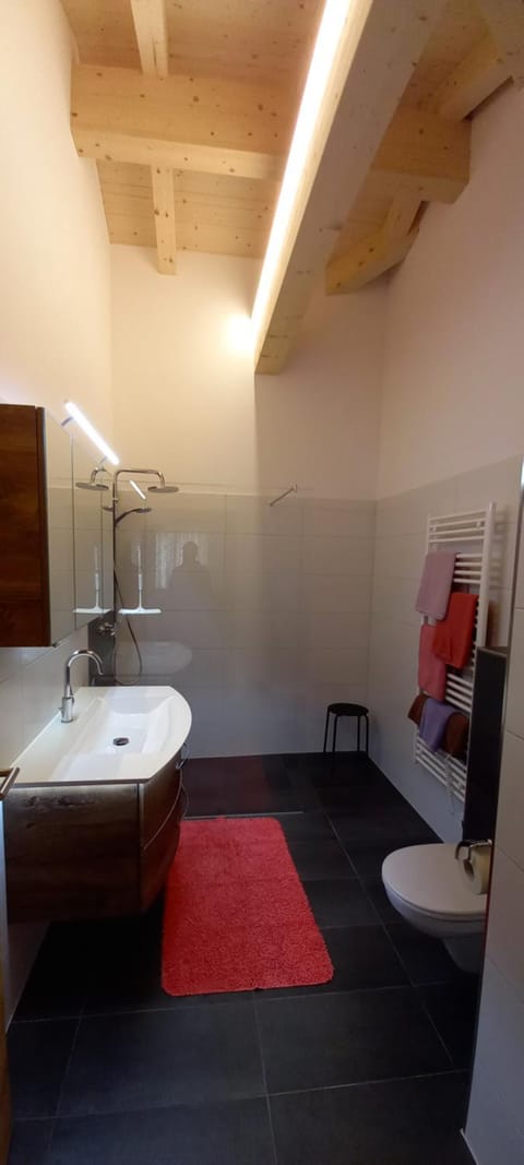 Shower, Toilet, Bathroom, towels