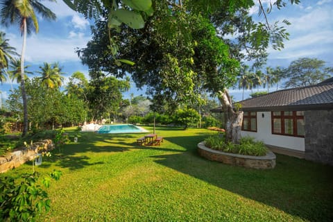 Garden, Garden view, Swimming pool
