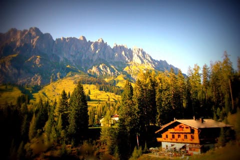 Natural landscape