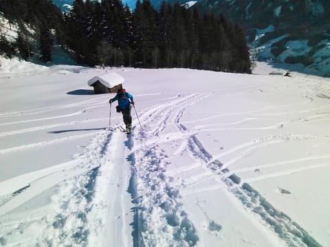 Activities, Winter, Ski School, Skiing, Sports